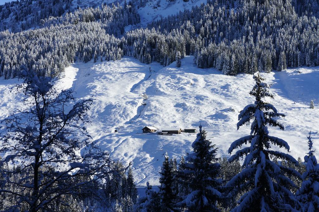 Apart Soellbacherhof Fügen Eksteriør billede